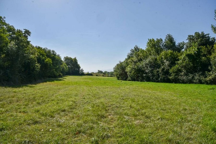 Sentier de découverte des prairies du Travet