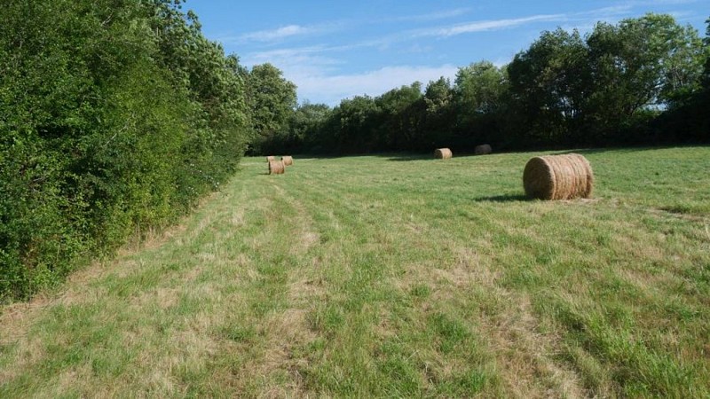 Sentier de découverte des prairies du Travet