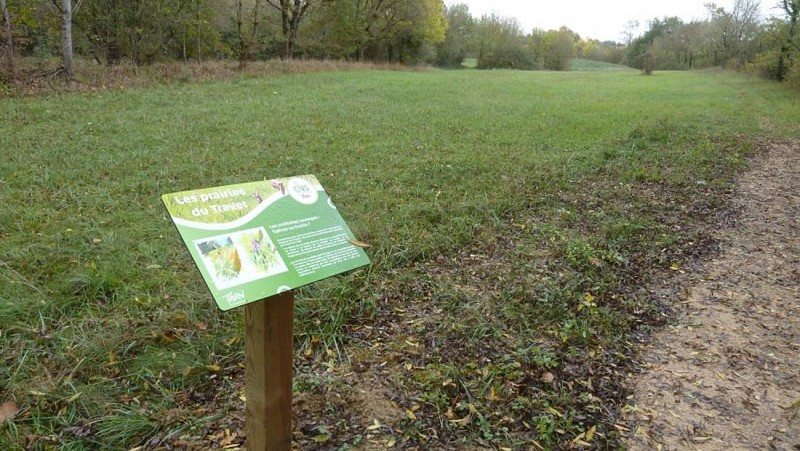 Sentier de découverte des prairies du Travet