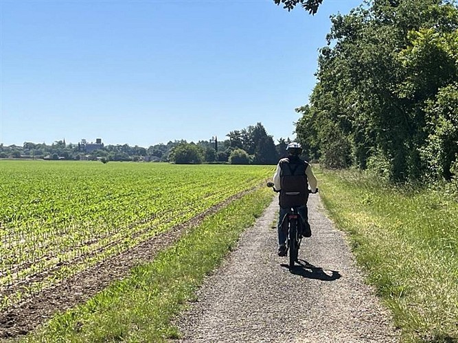 Au fil du Tarn entre berges et vergers