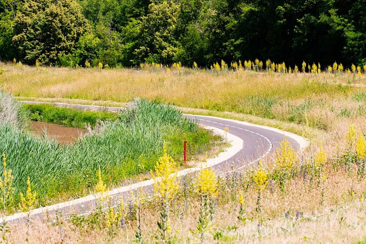 Via Grand Colombier : voie verte en bord de Rhône_Culoz-Béon