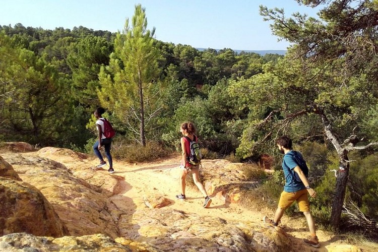 Dalle de Pié-Bousquet à Roussillon