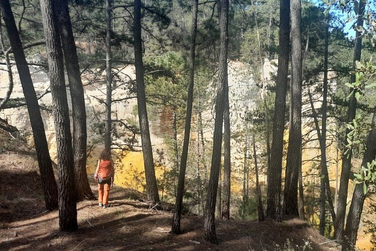 Sentier de Couvine entre Caseneuve et Rustrel