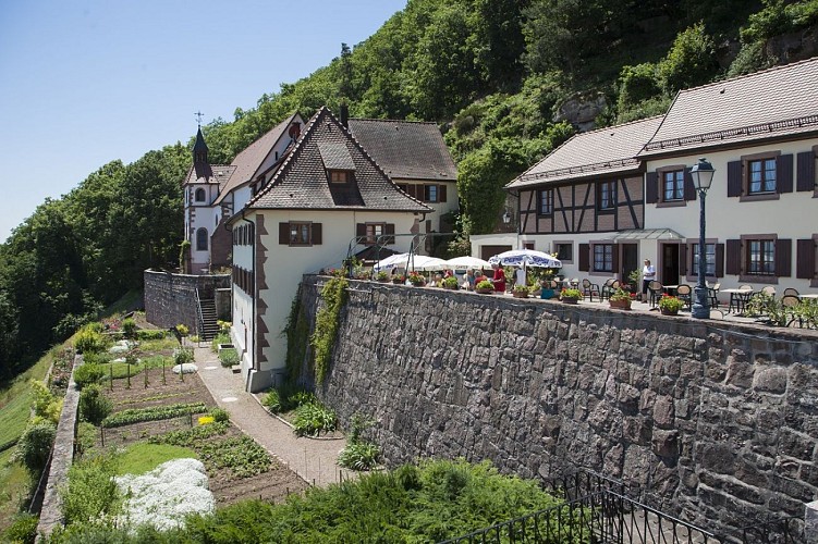 Weinberg- und Spiritualitätspfad