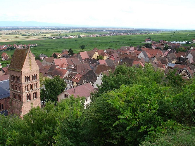 Weinberg- und Spiritualitätspfad