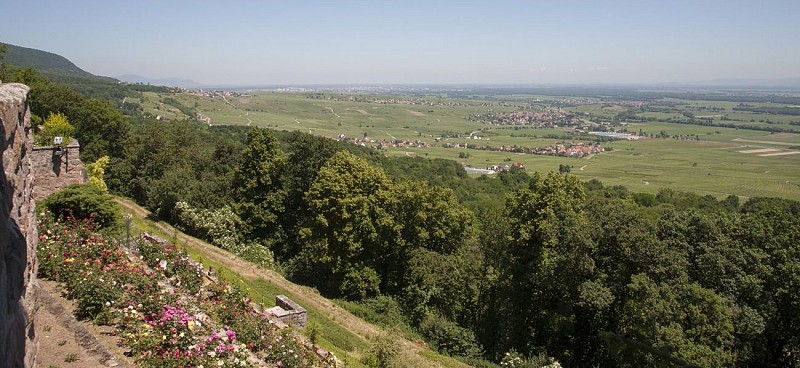 Sentier vignoble et spiritualité