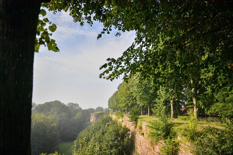 Remparts de Montreuil-sur-Mer