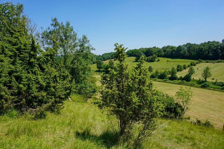 Campagne Ternois