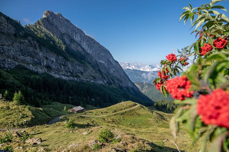 Itinéraire pédestre : Refuges de Bostan, Golèse et Folly, avec Lac des Chambres, depuis le village de Samoëns_Samoëns