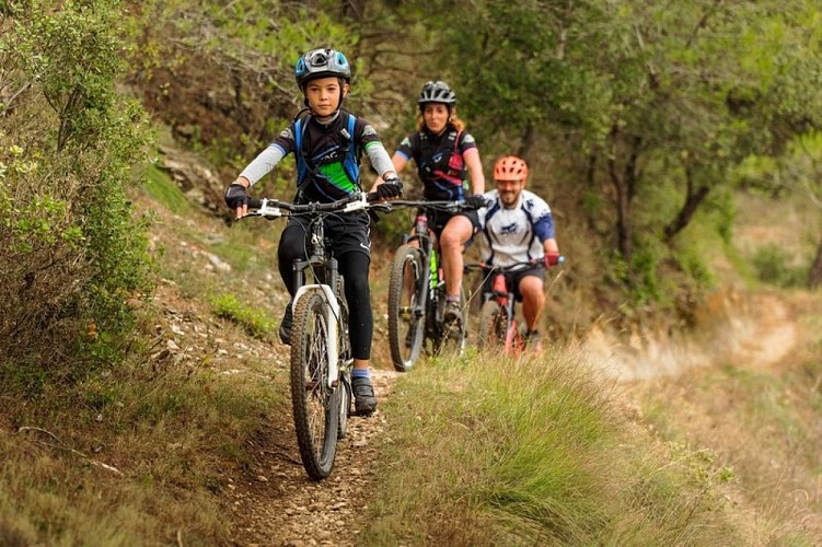 Circuit VTT n°4 - La petite combe