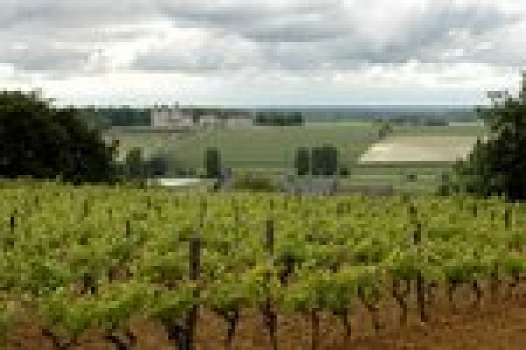 seuilly-chateau-coudray-2enkuw368yad.jpg.150x150_q85