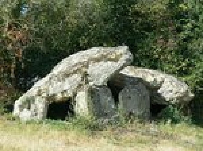 thizay-dolmen-acylh5wtn7z4.JPG.150x150_q85