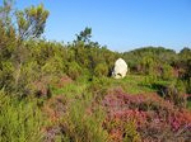 cinais-camp-romains-79z6t9usli0q.jpg.150x150_q85