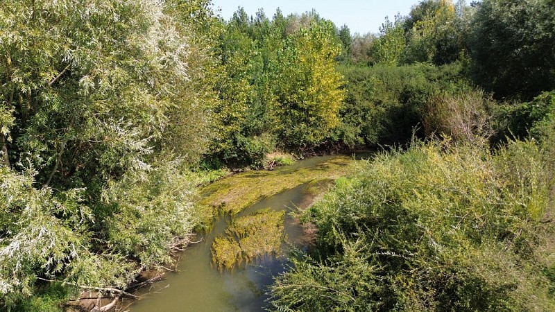 Sentier du castor