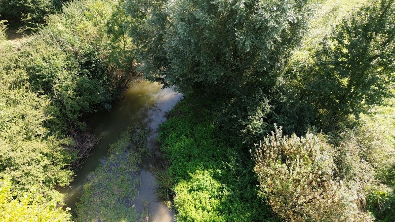 Sentier du castor