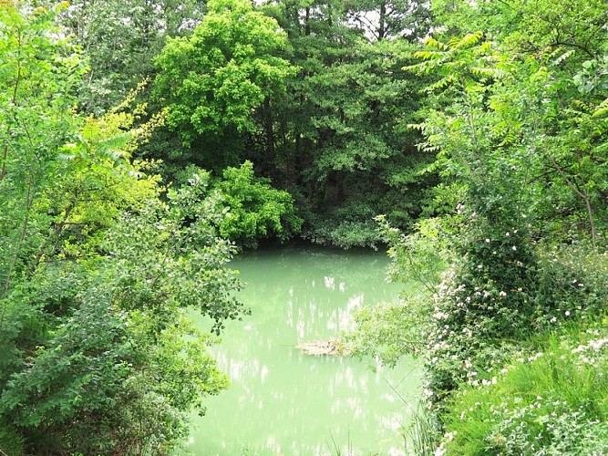 Vue sur le Vidourle