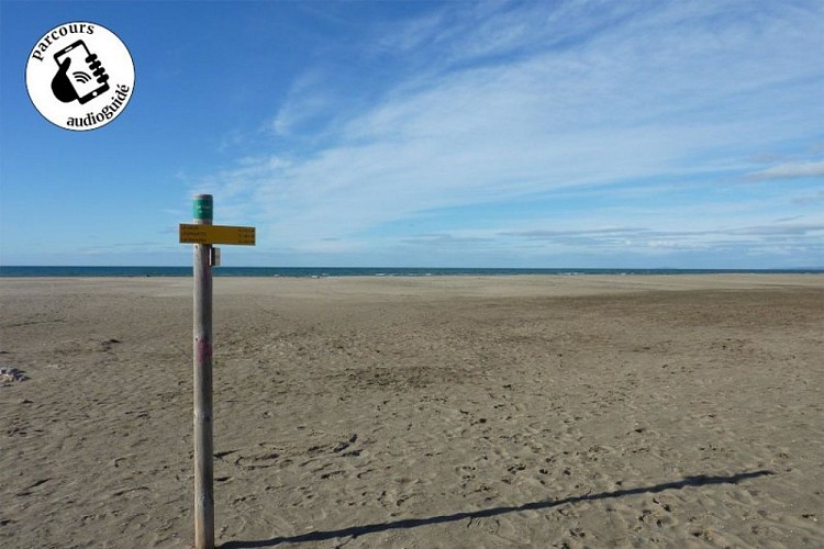 Balade sur le bord de mer sauvage