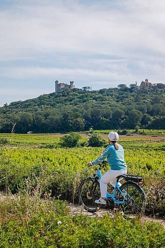 Boucle cyclo-découverte de la Vallée du Rhône