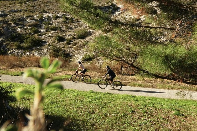 Boucle cyclo-découverte La Côte du Rhône