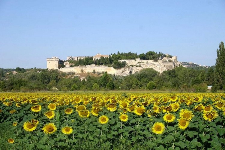 Boucle cyclo-découverte La rive droite du Rhône