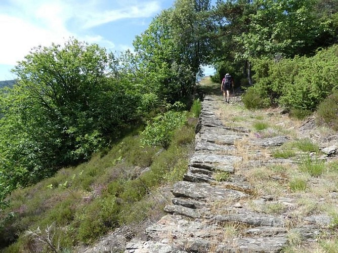 Chemin caladé