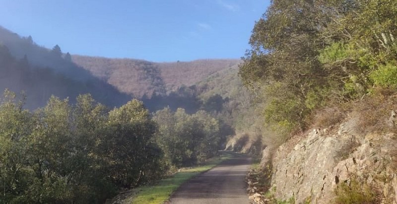 La petite route de Valescure