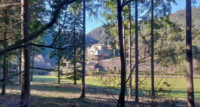 Le château de Bussas