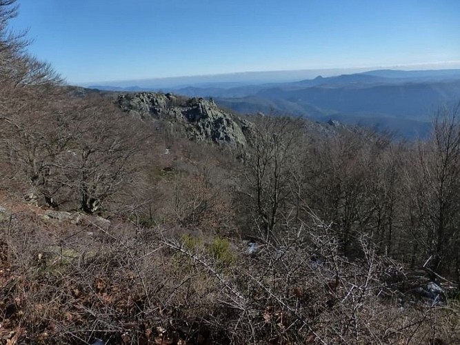 Vue depuis les pistes forestières
