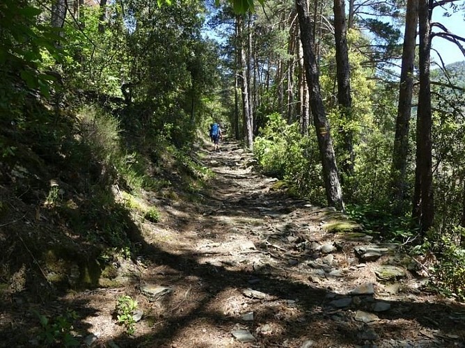 le chemin