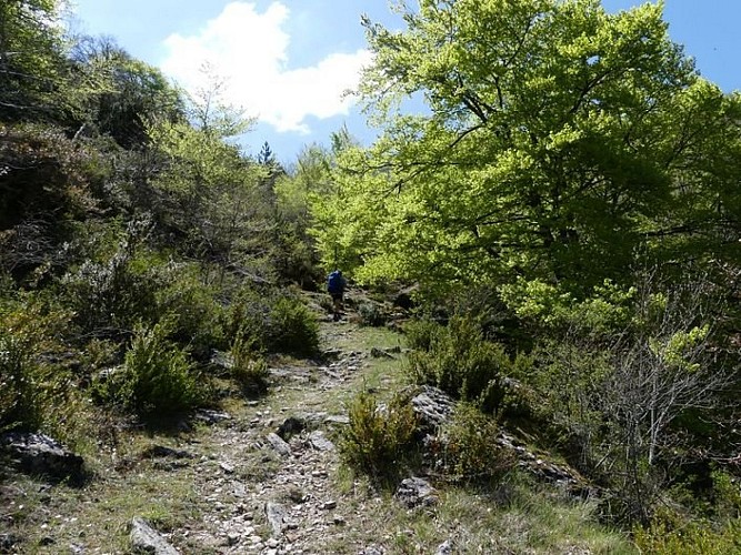 Montée sur la Can