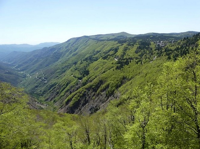 La haute vallée de l'Hérault