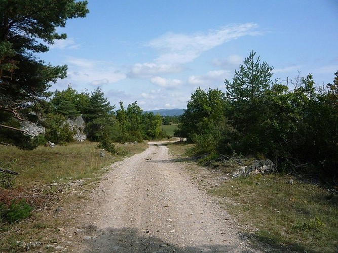 Sentier du Géant