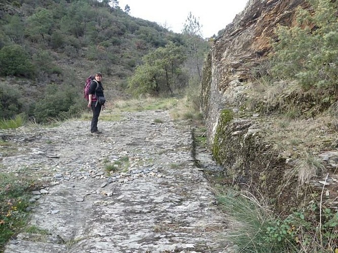 La route royale de St Roman de Tousque