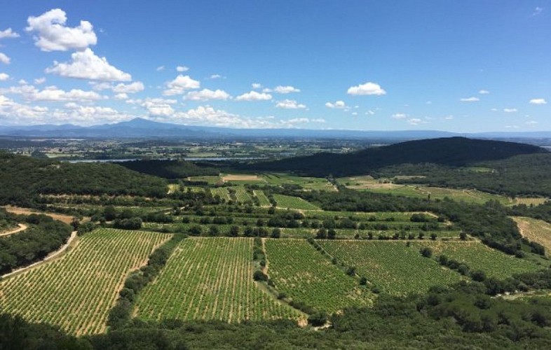 Vue sur le Mont Ventoux