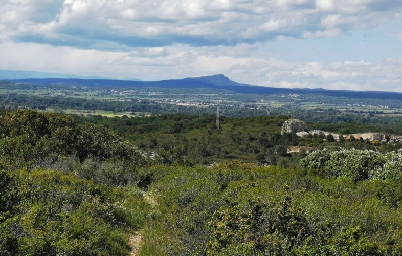 Vue sur le Mont Bouquet