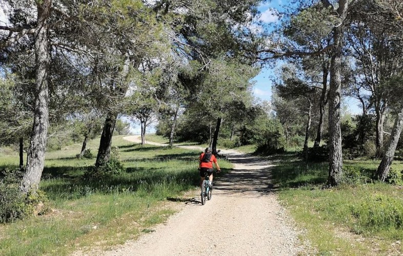 VTT au Clos Gallard