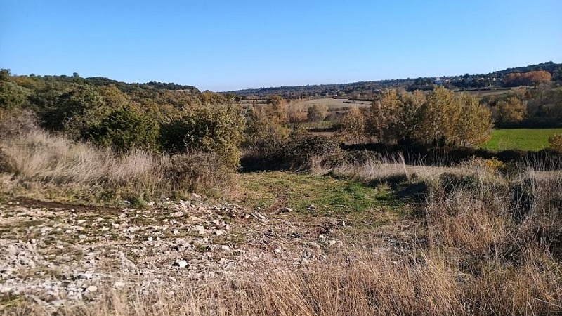 Promenade à cheval - Vallérargues Lussan