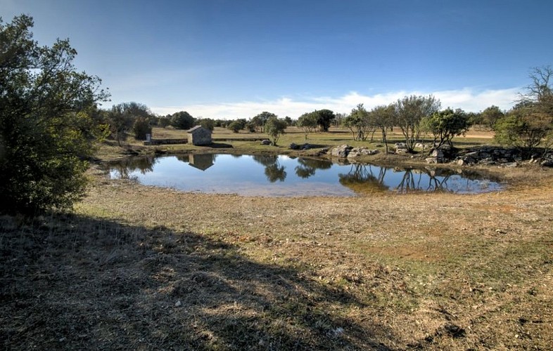 Lac de Trépadone