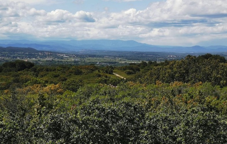 Vue sur le Mont Lozère