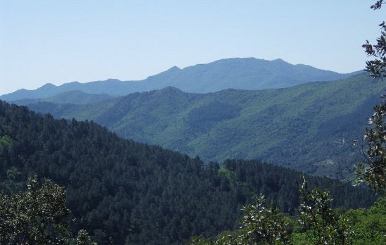 Vue sur l'Aigoual