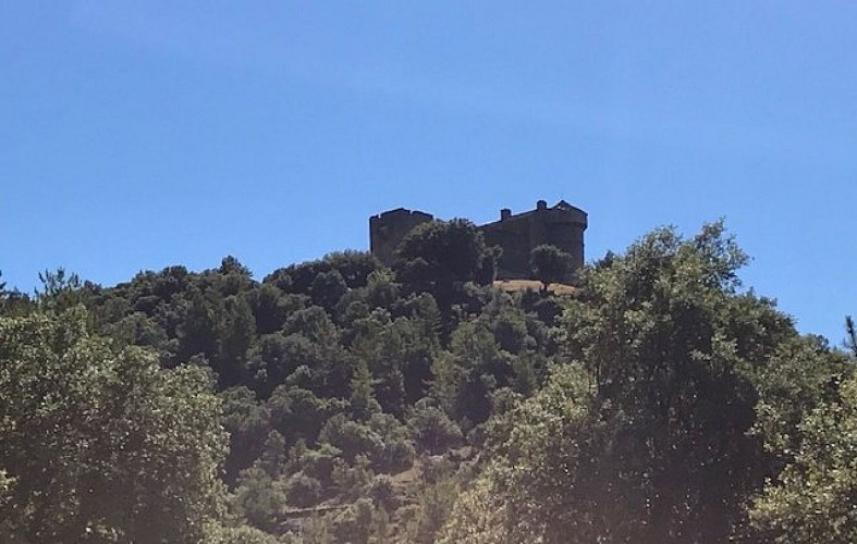 Château du Cheylard