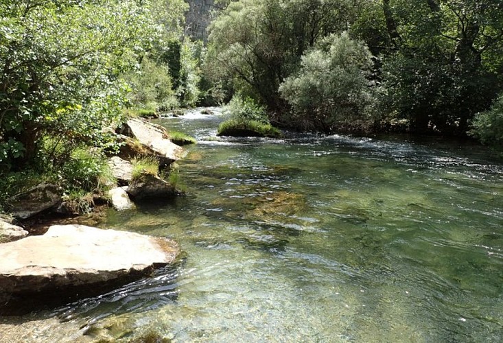 La Vis
