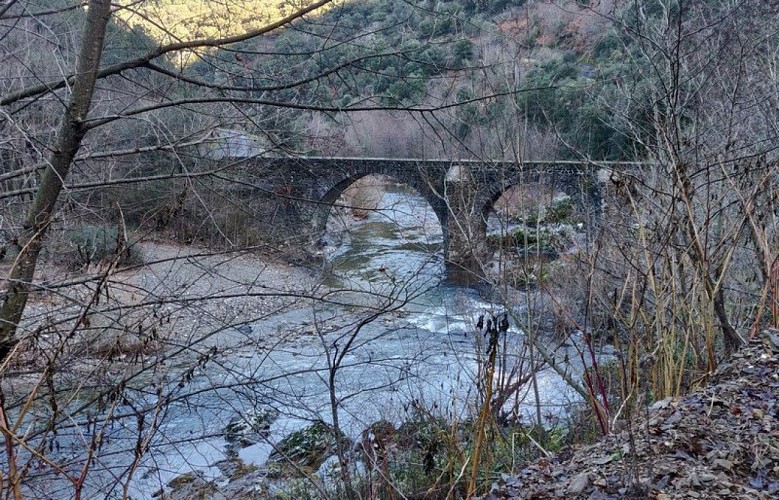 Le pont de l'Arénas