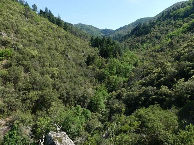 La Vallée de Valescure