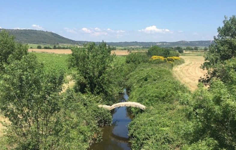Pont sur le Rhôny