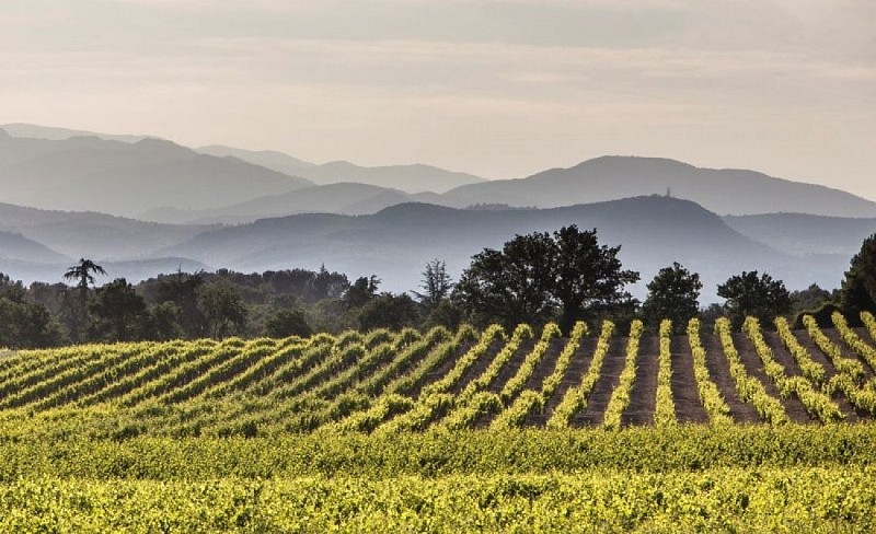 Vignobles Duché D'Uzès