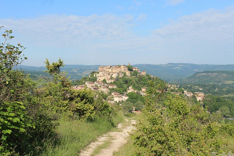 Grain of salt path (Chemin du grain de sel)