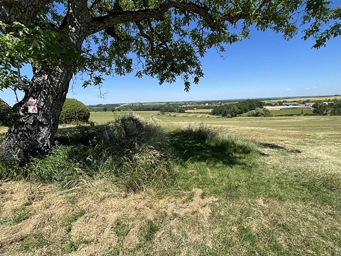 Circuito BTT 10 Les hauts de Gaillac noir