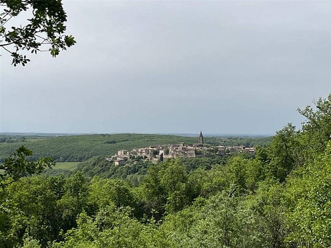 Circuit VTT 9 Traversée de Grésigne