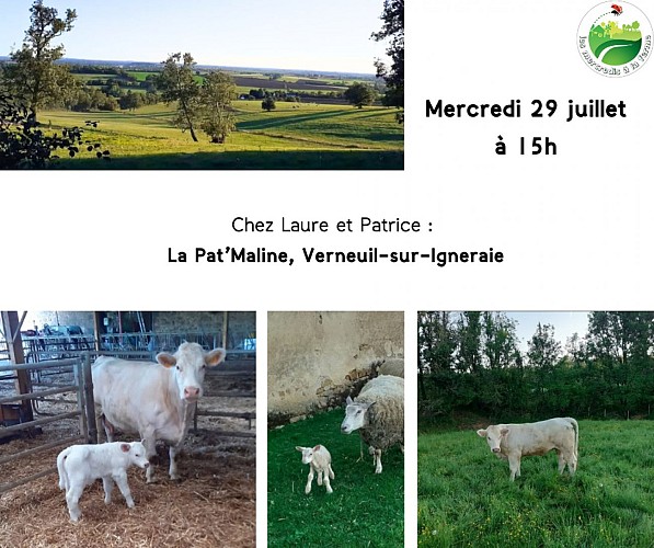 0 - Pays de George Sand